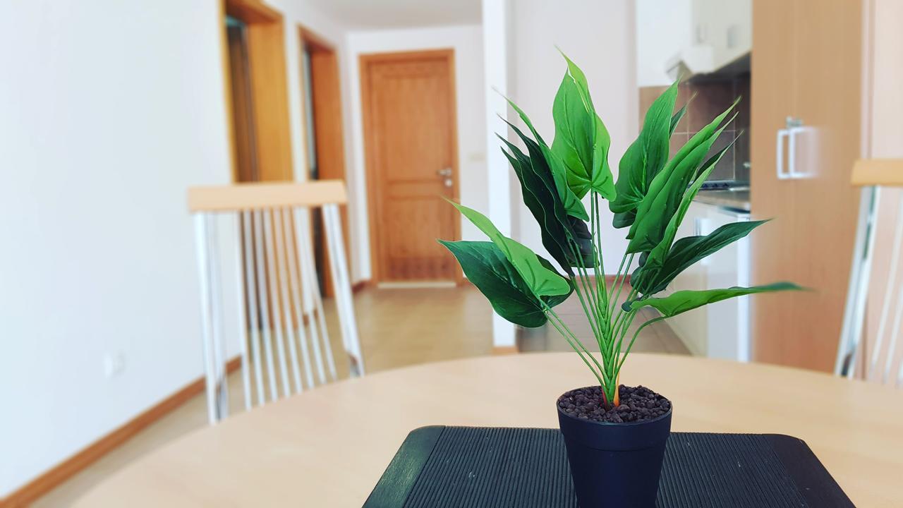 Apartment Leea Blue Budva